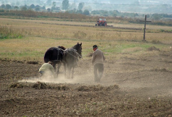 Tales of Corruption Surrounding Land Investments in Romania