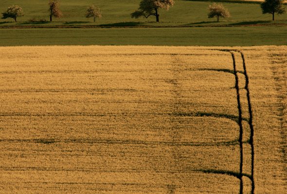 Time to change Europe’s land policy
